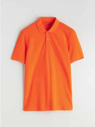 Bright Orange