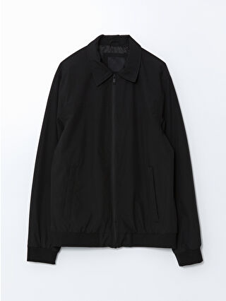 New Black