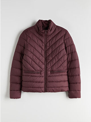 Light Plum