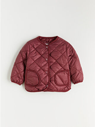Light Bordeaux