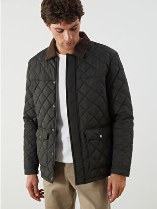 Dark Khaki