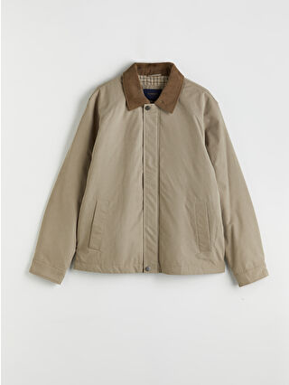 Dark Beige