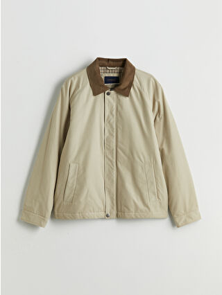 Light Beige