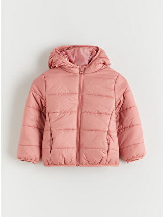 Dusty Rose