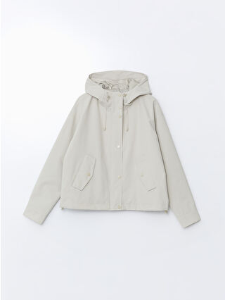 Light Beige