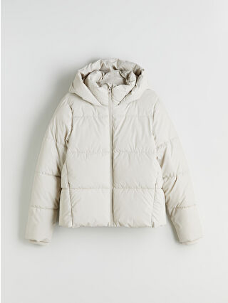 Light Beige