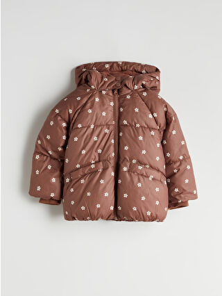 Brown Printed