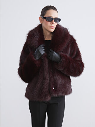 Dark Plum