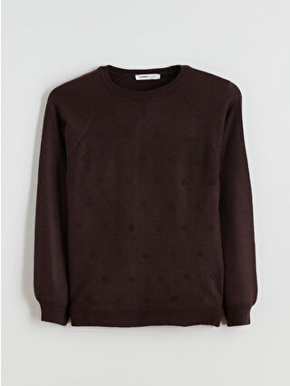 Chocolate Brown