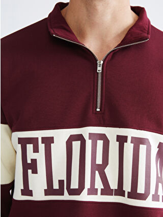 XSIDE Funnel Neck Printed Florida Men's Thick Sweatshirt -W5DB89Z8