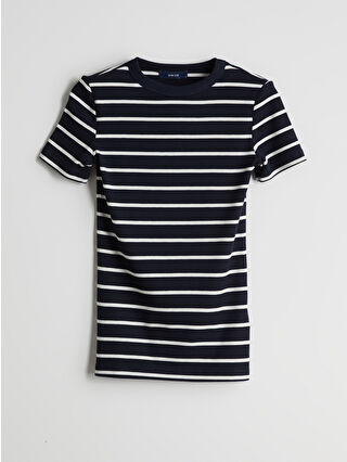 Navy Striped
