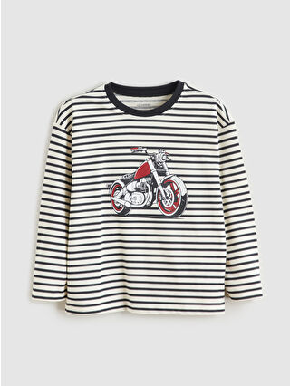 Anthracite Striped