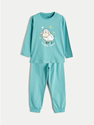 Dull Turquoise