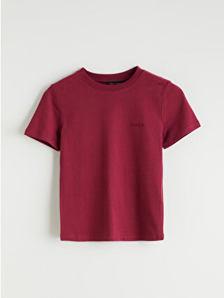 Light Bordeaux