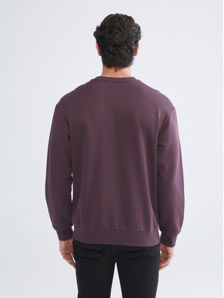 XSIDE Mürdüm Bisiklet Yaka Erkek Sweatshirt - W5IR58Z8-UV2 | LCW