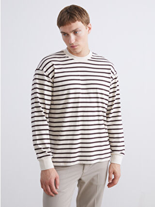 Dark Brown Striped