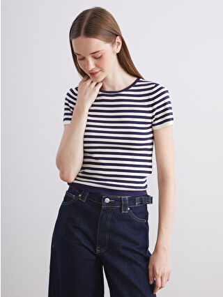 Navy Striped