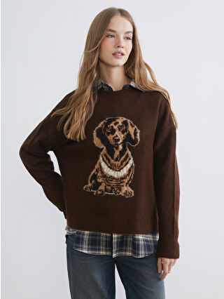 XSIDE Женщины Коричневый Свитер - W5L694Z8-8XJ - LC Waikiki