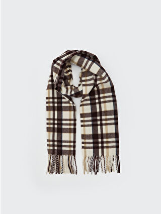 لون بني تشيك