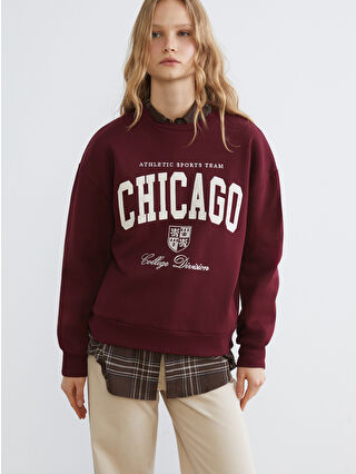 ちぃ Hitachi ZX490LCH-6 excavator specs & dimensions (2016 - 2021