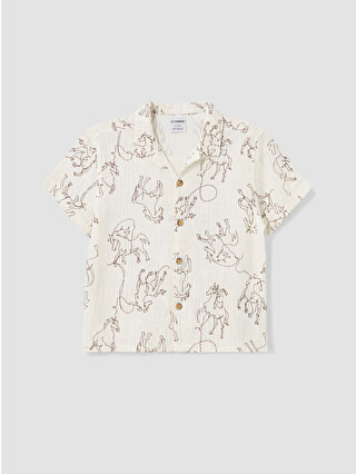 Brown Printed