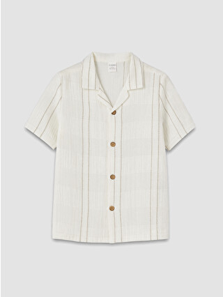 Light Beige Striped