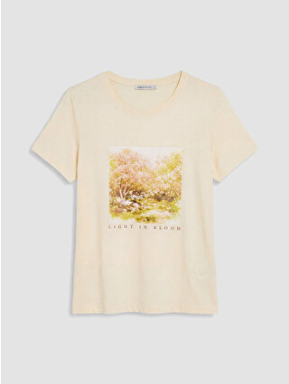 Pale Yellow