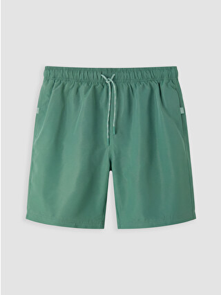 Dull Green