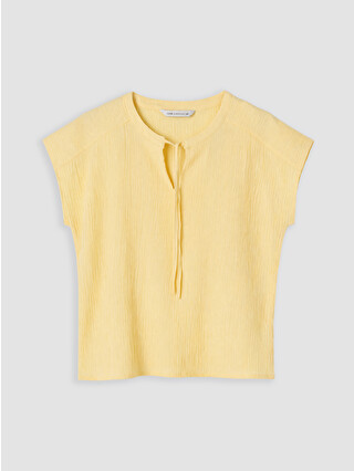 Dull Yellow