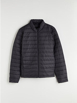 Anthracite