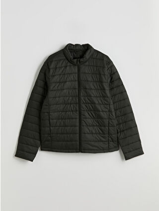 Dark Khaki