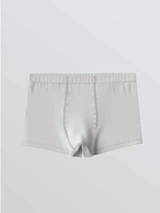 LCW Kids Boys' Boxer Briefs - Set Of Three - S60752Z1-FVW | LC Waikiki