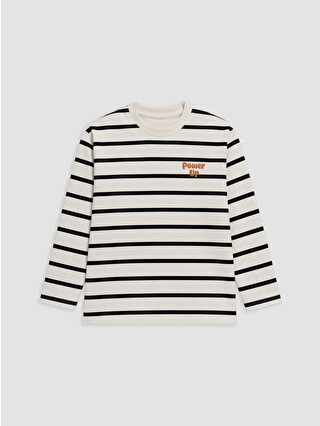 Anthracite Striped
