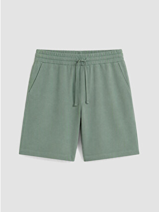 Dull Green