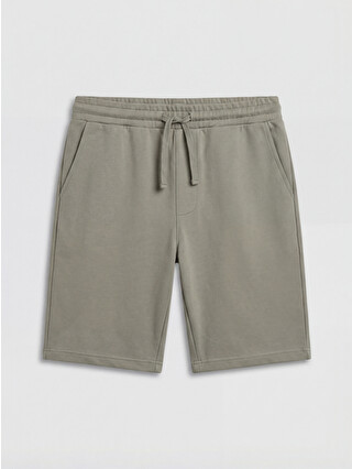Pale Khaki