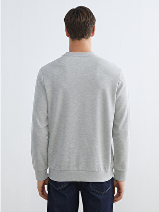 LC WAIKIKI Crew Neck Men's Sweatshirt - S64298Z8-F2T | LC Waikiki