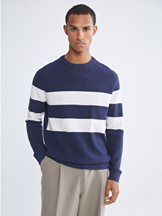 LCW Vision Striped Crew Neck Knit Sweater For Men - S65426Z8-R40