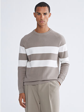 LCW Vision Striped crew-neck knit sweater for men. - S65426Z8-ZNS