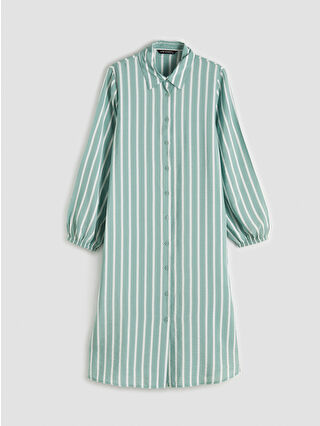 لون أخضر زيتوني فاتح