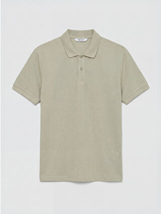 Pale Olive Green