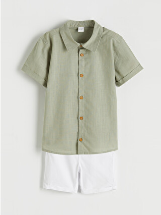 Dull Green