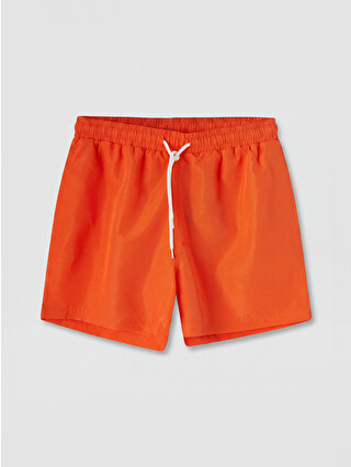 Bright Orange