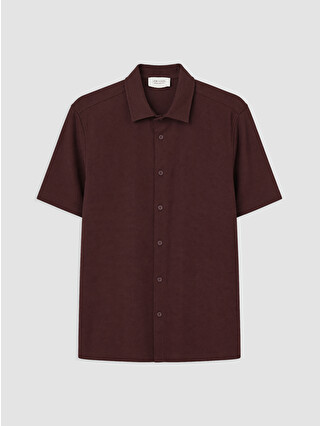 برقوقي