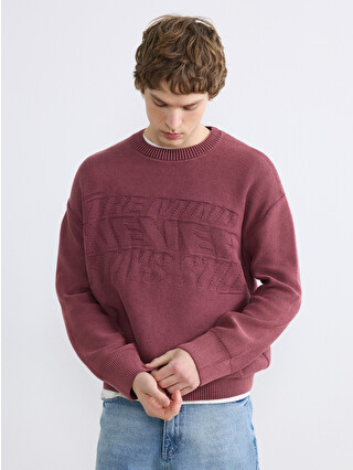 XSIDE Crew Neck Embossed Knit Sweater - S6JN86Z8-J4D | LC Waikiki