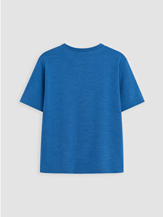 【P13531】WISH IN BLUE LC WAIKIKI Bisiklet Yaka Flamlı Kumaş Erkek Çocuk Tişört