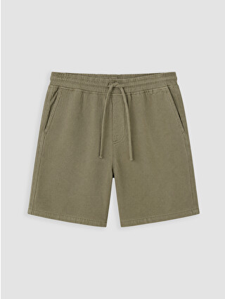 Light Khaki