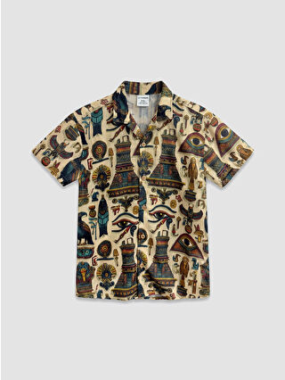 لون كاميل تشيك