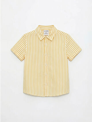 Yellow Striped