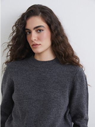 LCW Vision Women's Crew Neck Knit Sweater - S6LY55Z8-D3A | LC Waikiki