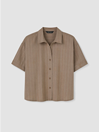 Brown Striped